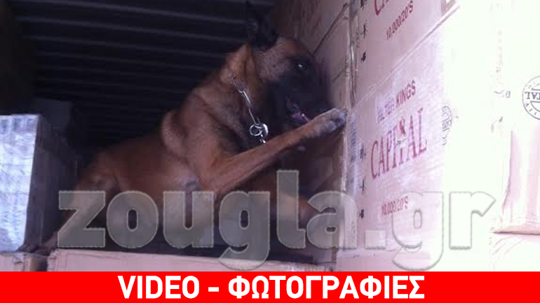 O Diablo του ΣΔΟΕ χάλασε το deal λαθρεμπόρων