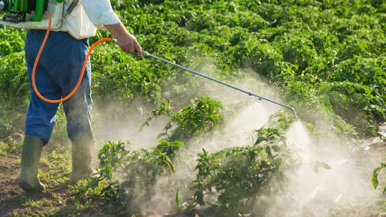 Ανίχνευση φυτοφαρμάκων σε αμπελόφυλλα και σπανάκι