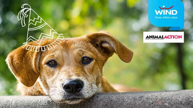 Παγκόσμια Ημέρα Ζώων