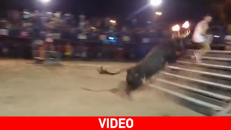 Αυτά παθαίνεις αν προκαλέσεις έναν ταύρο…