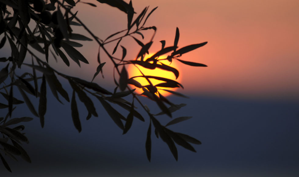 Στο βουνό των Κενταύρων