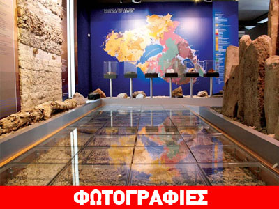 Το Απολιθωμένο Δάσος υποψήφιο για ένταξη στα Μνημεία της UNESCO