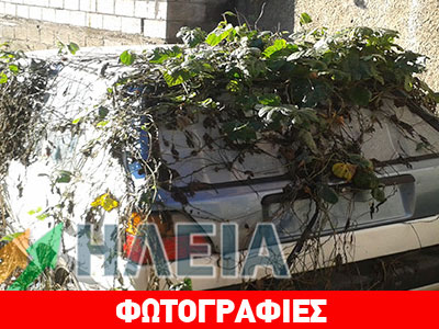 Aυτοκίνητο-γλάστρα στο έλεος της εγκατάλειψης