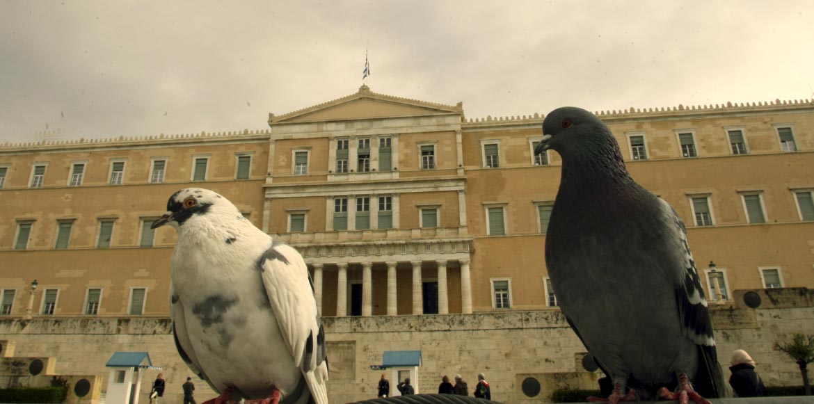 Tα περιστέρια της Βουλής