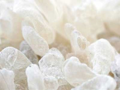 Το δάκρυ της φύσης: Μαστίχα