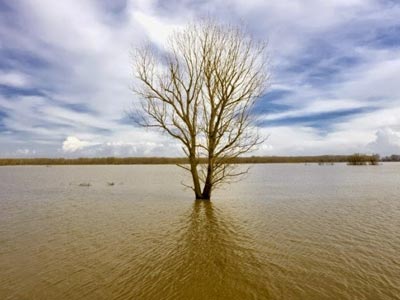 Στα όρια συναγερμού παραμένει η στάθμη του Έβρου