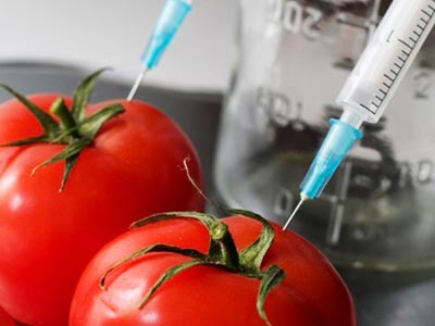 «Πράσινο φως» από την Ε.Ε.: Μεταλλαγμένα στο πιάτο μας!