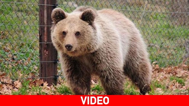 Το ταξίδι της Ζωής