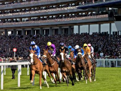 ΤΑΙΠΕΔ: Ο ΟΠΑΠ προτιμητέος πλειοδότης για τον ιππόδρομο