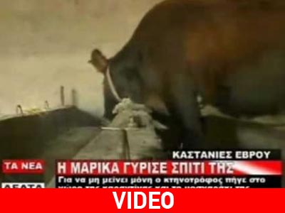 Θυμάστε την Μαρίκα που αναστάτωσε Ελλάδα και Τουρκία;