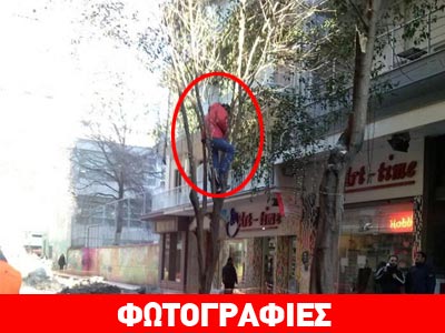 Πολίτης σκαρφάλωσε σε δέντρο για να μην το κόψει ο δήμος