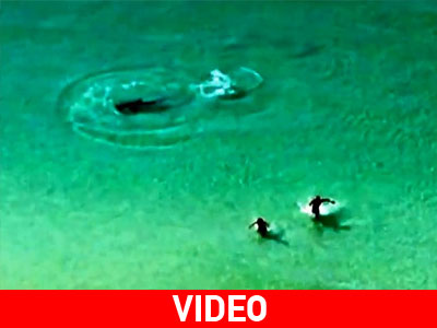 Tρέχουν να γλιτώσουν από τον καρχαρία