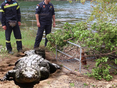 Ο Σήφης έφαγε 150 πάπιες και μένει ασύλληπτος…