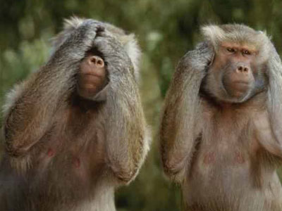 Οι «μαϊμούδες» του… Κοινοβουλίου