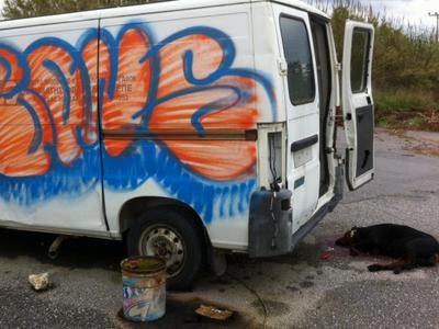 Εκτέλεσαν εξ επαφής δεμένo θηλυκό ροντβάιλερ