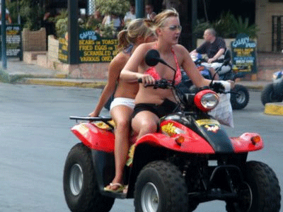 Ένταση και ξυλοδαρμοί με αφορμή τις…γουρούνες