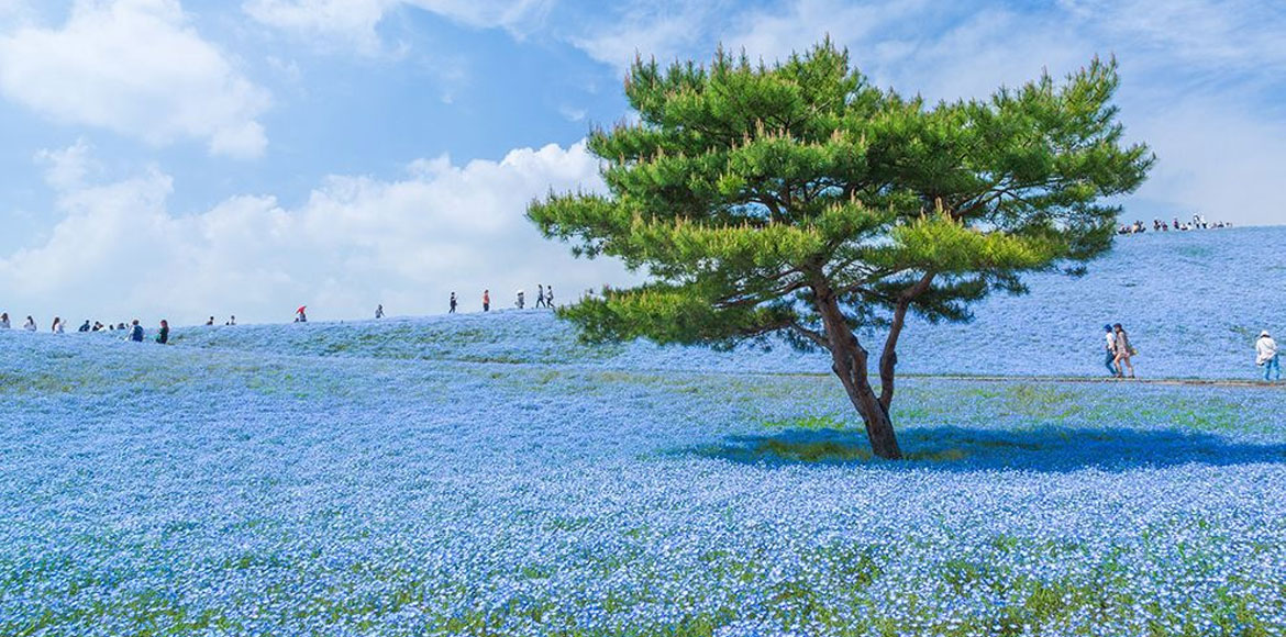 To γαλάζιο σύμπαν…