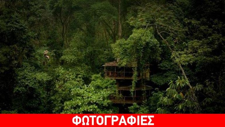 Δεντρόσπιτα στη ζούγκλα