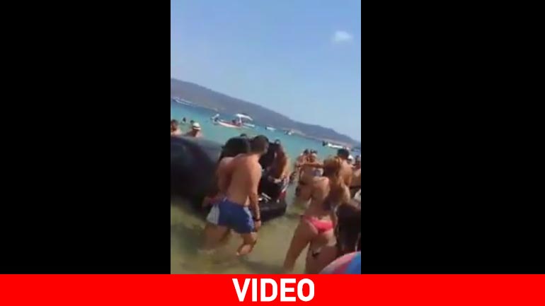 Χαλκιδική: Αυτοκίνητο προσγειώθηκε στη… θάλασσα!