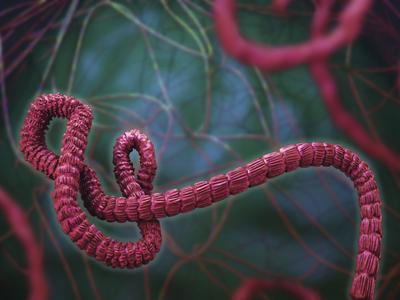 Εγκρίθηκε η πειραματική χρήση φαρμάκου για τον ιό Έμπολα Εγκρίθηκε η πειραματική χρήση φαρμάκου για τον ιό Έμπολα