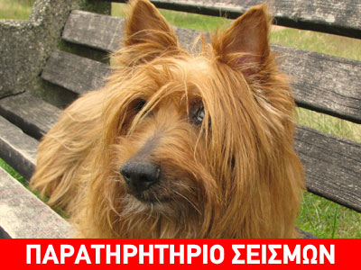 Αλλαγή συμπεριφοράς του σκύλου πριν την εκδήλωση σεισμού