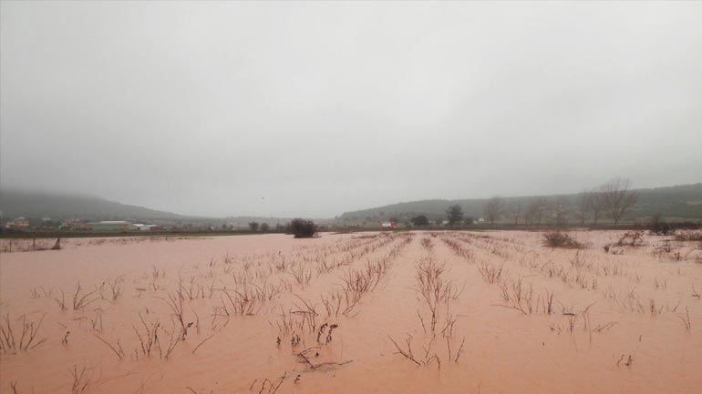 Κτηνοτρόφος αρνείται να εγκαταλείψει τα ζώα του που κινδυνεύουν από την πλημμύρα
