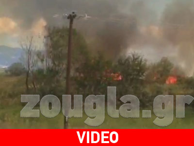 ΤΩΡΑ: Φωτιά στη Λιβαδειά