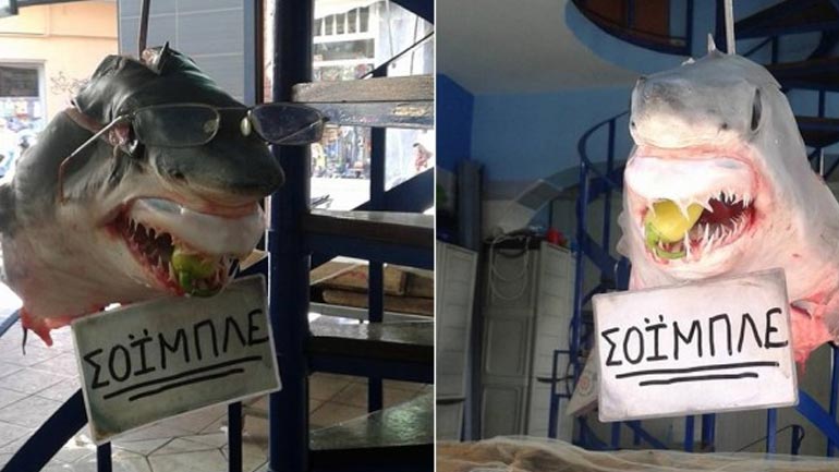 Ψάρεψαν καρχαρία και τον βάπτισαν Σόιμπλε…