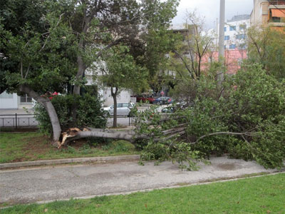 Θεσσαλονίκη: Προβλήματα λόγω των θυελλωδών ανέμων