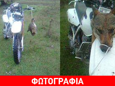 Αποτρόπαιος φόνος λύκου επιδεικνύεται στο facebook!