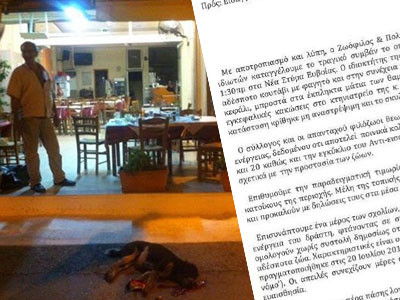 «Toπικός ήρωας» ο ταβερνιάρης που σκότωσε σκυλίτσα