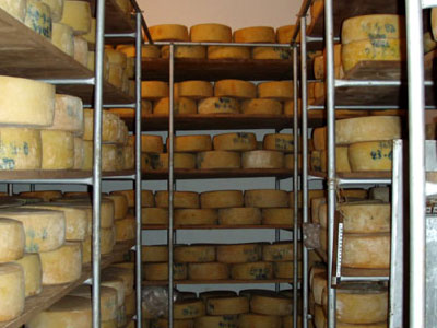 Προσωρινή αναστολή λειτουργίας τυροκομείου