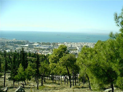 Οι φύλακες – άγγελοι του Σέιχ Σου