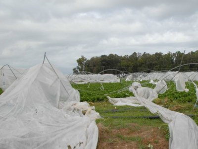 Καταγγελίες για αγροτικά κυκλώματα