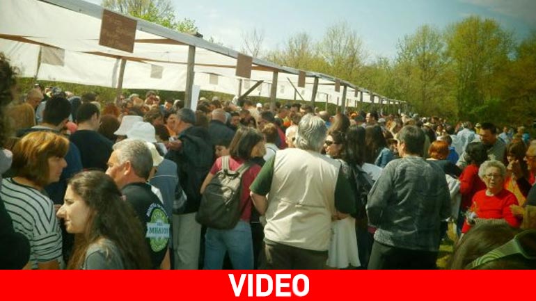 Χαμός στη Δράμα για δωρεάν σπόρους και φυτά