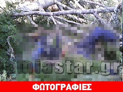 Μακάβριο θέαμα σε δάσος