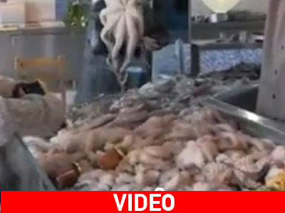 Ρόδος: Συγκρατημένοι οι καταναλωτές