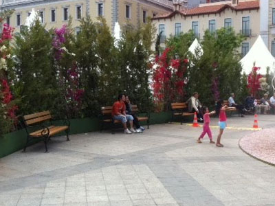 Αναβάλλεται ανθοκομική έκθεση λόγω εκλογών!