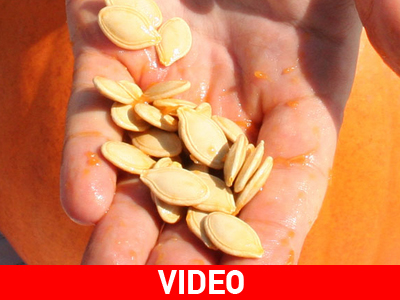 Το σινεμά της Ολομέλειας