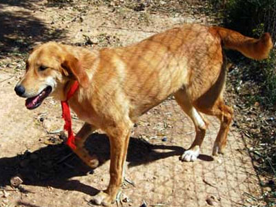 Xαρίζεται η Μελίνα