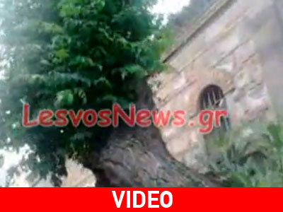 Τα παιχνίδια της φύσης…