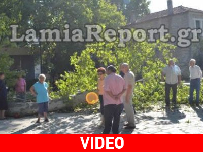 Τελευταίo αντίο στον 9χρονο από τη Λαμία