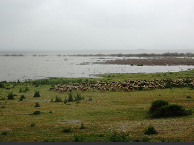 Οδηγός για περιπατητές στη λίμνη Κάρλα