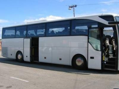 Μαϊμού-πράκτορας διοργάνωνε σχολικές εκδρομές!