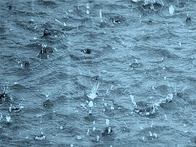 «Πορτοκαλί συναγερμός» για τις βροχοπτώσεις