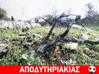 Για την αναδάσωση της Αριστερής Κεντροδεξιάς