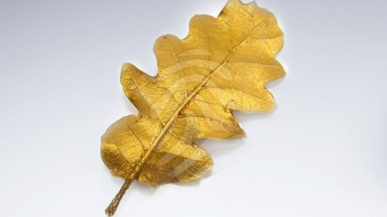 Η ονειροευχή στο μελαγχολικό το παλληκάρι…