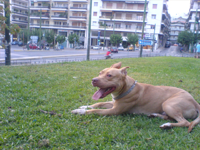 Χάθηκε ο DIDO