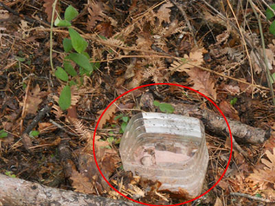 Δηλητηριασμένα δολώματα στο Εθνικό Πάρκο Βόρειας Πίνδου