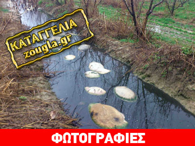 Oικολογικό έγκλημα στην Ημαθία